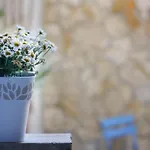 Blue Courtyard Howme